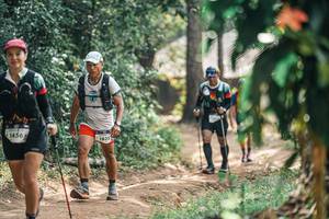 BIB: 
                            <button type="button" onclick="openModal(25276161)" class="btn btn-primary btn-sm float-right btn-popup" data-toggle="modal" data-target=".modal-high-quality">
                        <i class="fas fa-shopping-cart"></i> Add to Cart
                    </button>
                                            <button type="button" onclick="isThisMe(25276161, true)" class="btn btn-success btn-sm float-right btn-popup btn-isme hidden" data-toggle="tooltip" data-placement="bottom" title="นี่คือรูปของคุณใช่ไหม คลิกที่นี่เพื่อเอาเข้าอัลบั้ม">
                        <i class="fas fa-plus"></i> Add to album
                    </button>
                    <button type="button" onclick="isThisMe(25276161, false)" class="btn btn-warning btn-sm float-right btn-popup btn-isnotme hidden">
                        <i class="fas fa-ban"></i> Remove from album
                    </button>